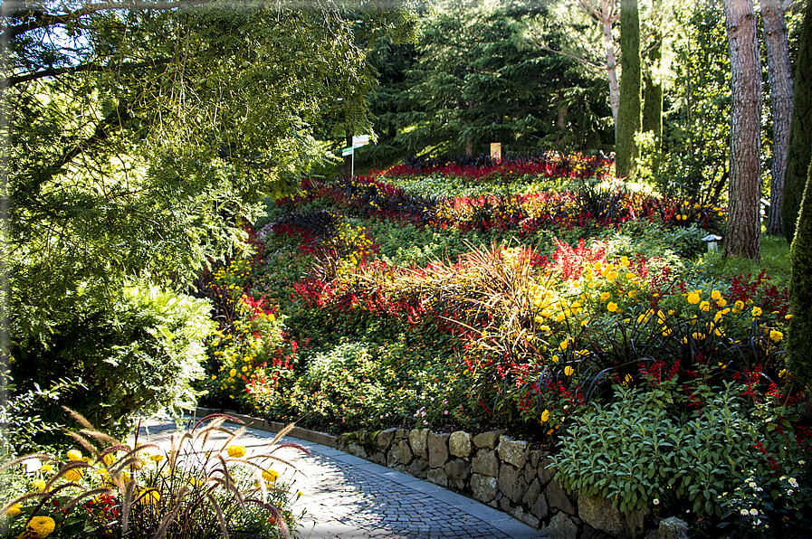 foto Giardini Trauttmansdorff - Boschi del Mondo